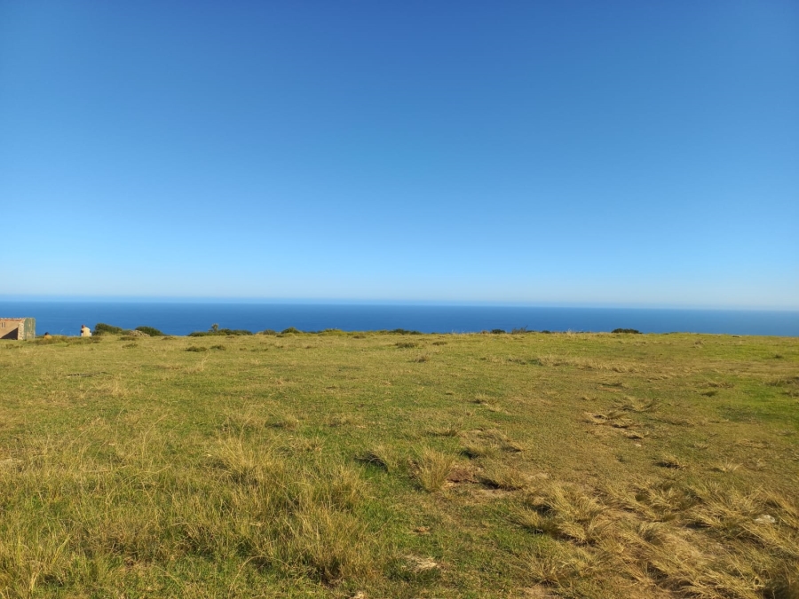 0 Bedroom Property for Sale in Kranshoek Township Western Cape